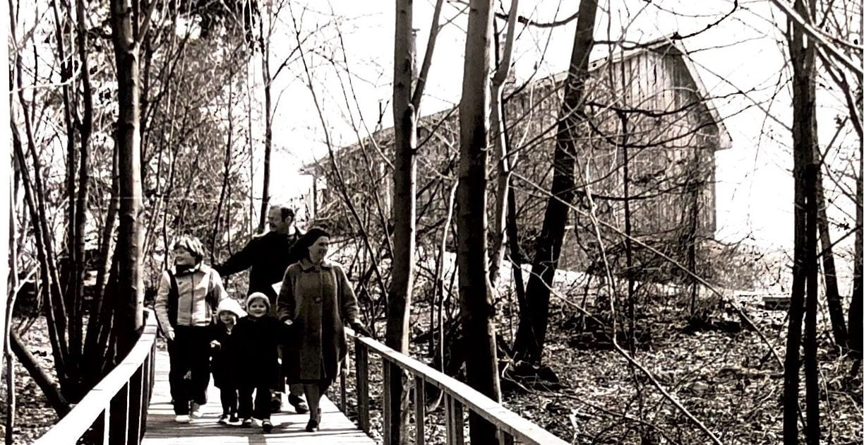 A family of five walks towards the camera along a wooden boardwalk. Behind a row of trees a wooden building can be seen in the background.