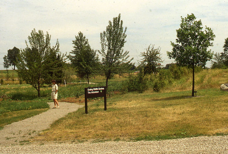 A gravel path cuts across the bottom of the image and recedes into the distance through a garden. A green and yellow grass lawn has a sign reading, "Gosling Wildlife Gardens, The Arboretum" on it. A short-haired woman wearing a white t-shirt and white shorts is standing on the gravel path, looking at the green bushes next to it. There are some young trees growing in the background.