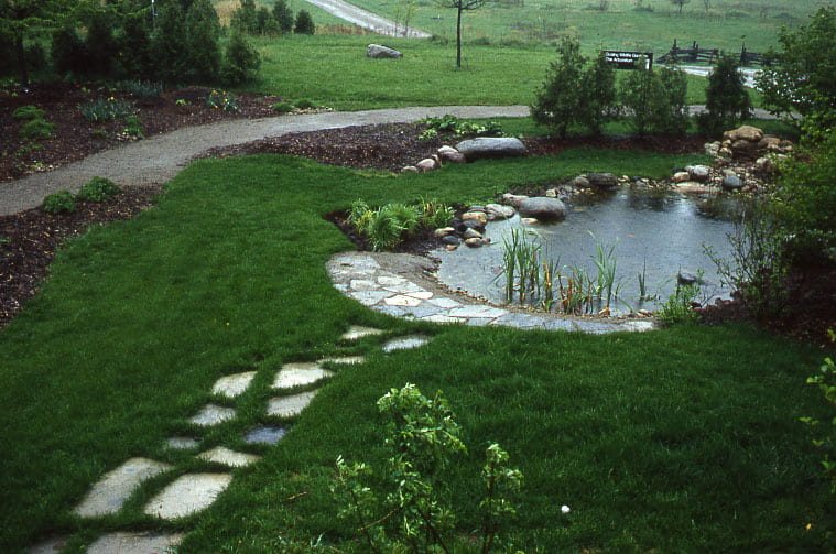 A small pond is situated in the middle of a green lawn. Some stepping stones lead up to the pond. Stones and reeds surround the pond. In the distance, a gravel walk way and an open field can be seen.