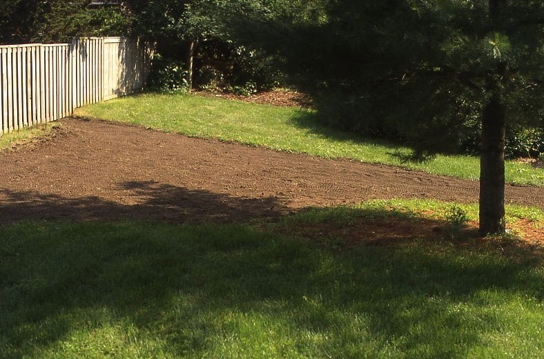 A lawn of green grass as a large area of overturned dirt in the middle of it. To the right of the overturned dirt is the base of a conifer tree. A wooden fence goes along the left of the lawn.