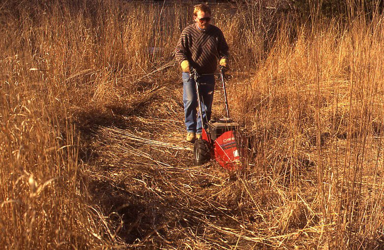 A man in a striped sweater and blue denim jeans pushes a red lawn mower through tall prairie grasses, cutting them down.
