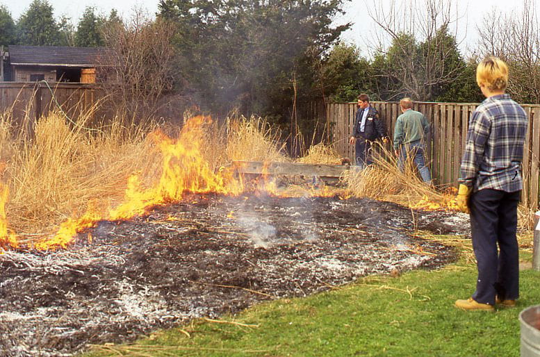 Three individuals stand at the edges of a controlled burn of prairie plants. The individual closest to the camera is wearing blue plaid shirt and navy pants. Two men walk along the edge of a wooden fence in the background, one is wearing a green coat and the other is wearing a navy jacket open over a blue button up shirt. The prescribed burn has burnt half of the field and is burning the rest of the tall grasses.
