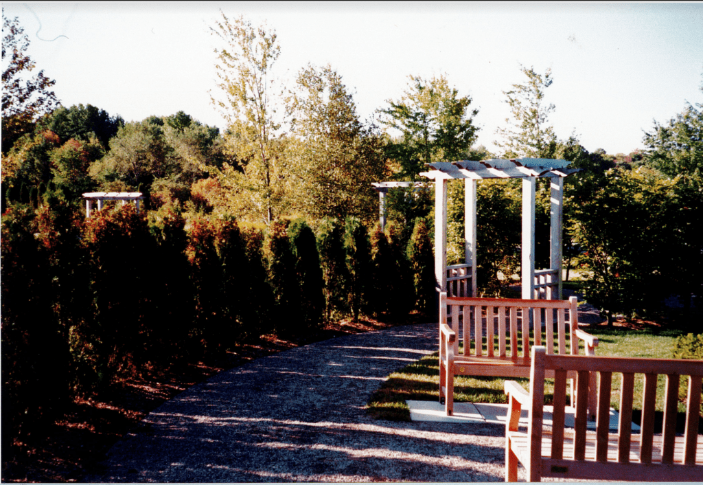 A dirt path leads away from the viewer and under a wooden arbor. Along the left side of the path is a row of tall green conifer trees. They reach about halfway up the wooden arbor. On the right of the path are two wooden benches facing towards one another, providing a place for visitors to sit.