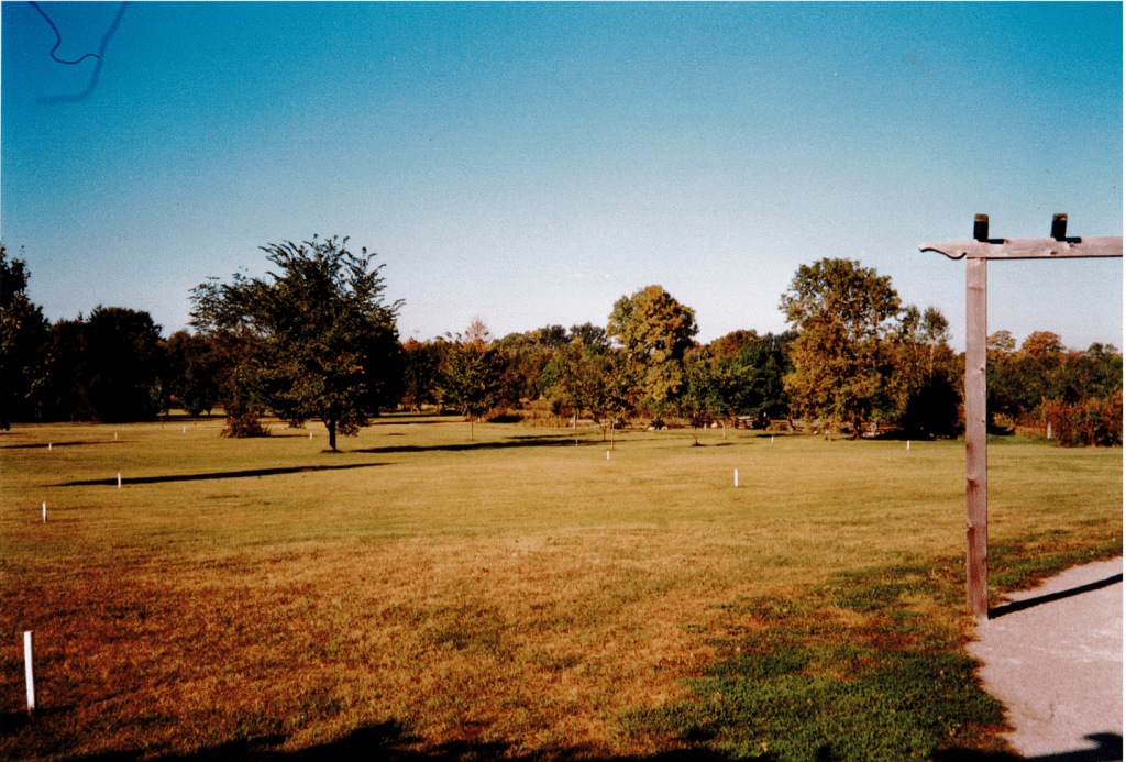 A field is dotted with large, green trees and saplings. To the right, the edge of a dirt pathway covered by a wooden arbor is seen.