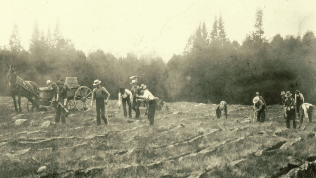 A group of men plant seeds in a farmers field. A carriage pulled by a horse stands nearby. A densely wooded forest is in the background.