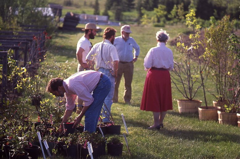 A man in the foreground is leaning over to inspect and move potted plants. Behind him, a group of four people stand in a circle speaking. They all appear to be looking at a tree sapling.