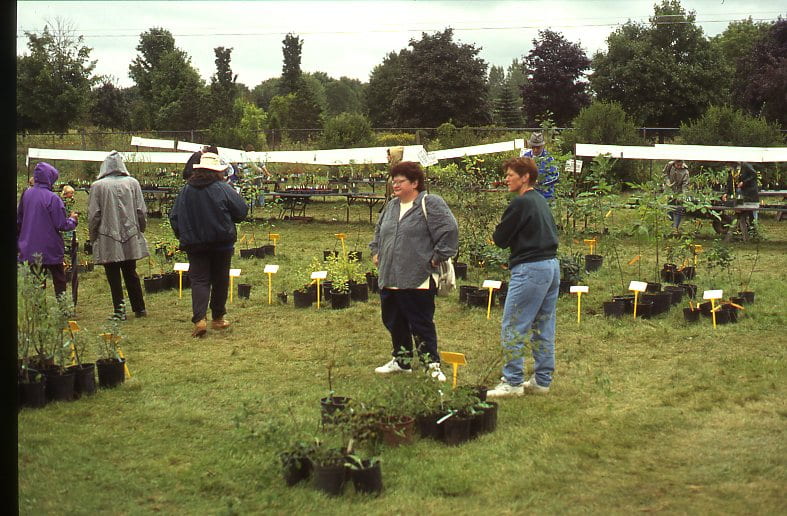 A group of people stand in a green field surrounded by potted plants. Signs hang above the potted plants providing information on the plants and their prices