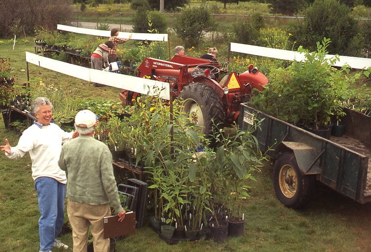 A red tractor with a trailer full of plants drives through a line of tables covered with plants. Two men stand speaking and watching the tractor. The man on the left is wearing a white long sleeve shirt and blue jeans. His arms are open wide as he gestures while speaking. The man on his right is wearing a green long sleeve shirt and cargo pants. He holds a clipboard in his hand.