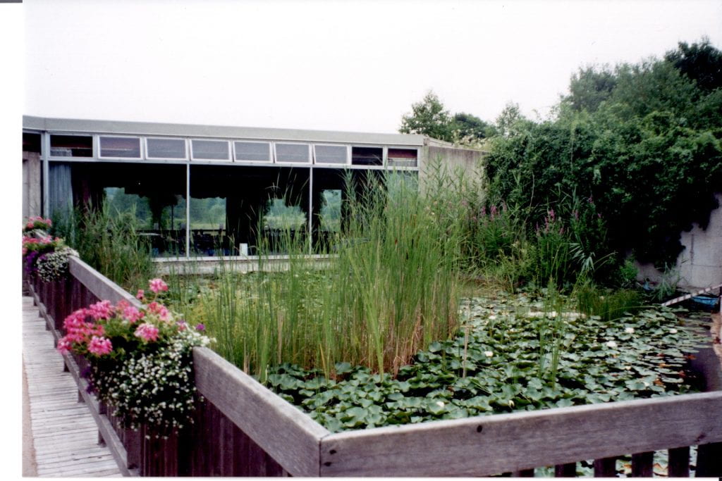 In front of a concrete building with large windows is a pond covered with lilypads and reeds. The pond is surrounded by a wooden fence with hanging baskets of pink flowers.