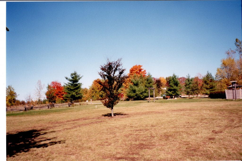 A lone tree with dark red leaves stands in the middle of a field of brown grass. In the background a forest of green, orange, yellow, and red leaved trees can be seen. A garden fence and arbors are in the background.