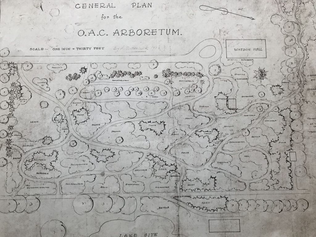 1938 Map of proposed Arboretum says "OAC Arboretum" across the top. Various locations of plant collections are mapped out near a dead-end road leading to a structure labelled "Watson Hall".