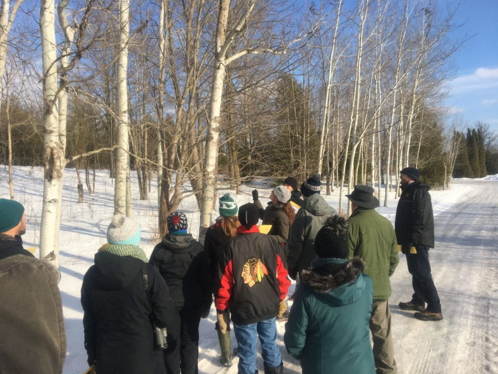 A group of individuals gather around the side of a snow-covered road to look at birch trees. A woman in the middle of the crowd points up at the trees and the others look where she is pointing. 