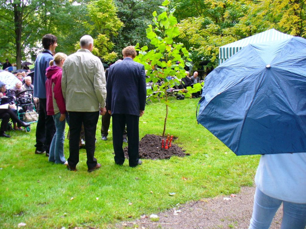 Four people stand in a semi-circle around a young, freshly-planted sapling. The group of people look at the tree and away from the camera. 