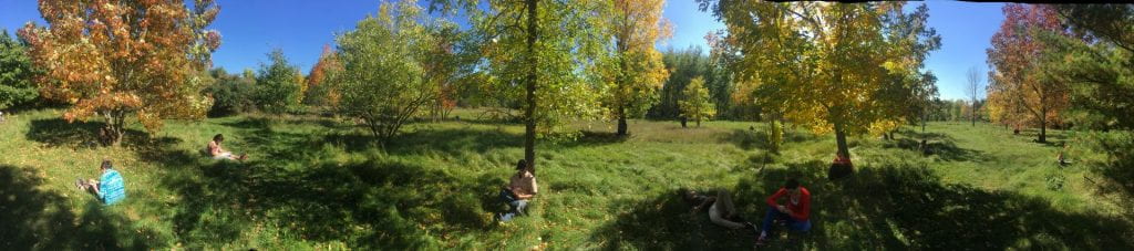 Five individuals sit spead out on a grassy lawn. They sit near and under maple trees. They all are completing workbooks that are resting in their laps. It is a bright sunny day.