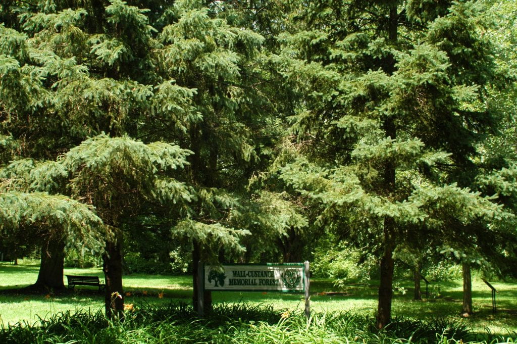 A sign saying "Wall-Custance Memorial Forest" sits under the canopy of large trees.