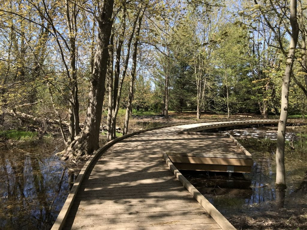 A wooden boardwalk runs above the water-covered forest floor.