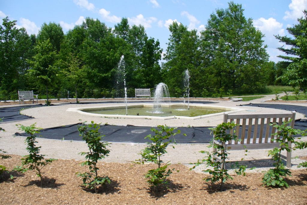 Small bushes grow in mulch surrounding a circular garden with a fountain at its centre.